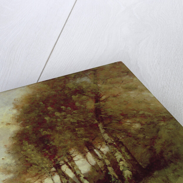 Landscape by Paul Desire Trouillebert