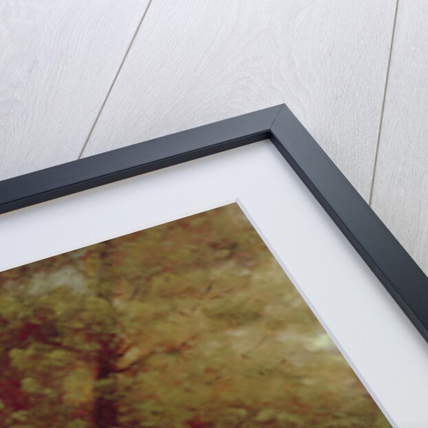 Landscape by Paul Desire Trouillebert