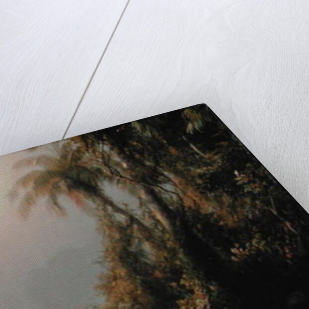 Morning in the Tropics, c.1858 by Frederic Edwin Church