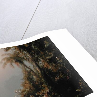 Morning in the Tropics, c.1858 by Frederic Edwin Church