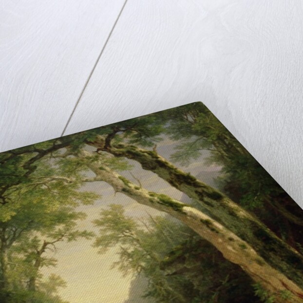 The Catskills, 1859 by Asher Brown Durand