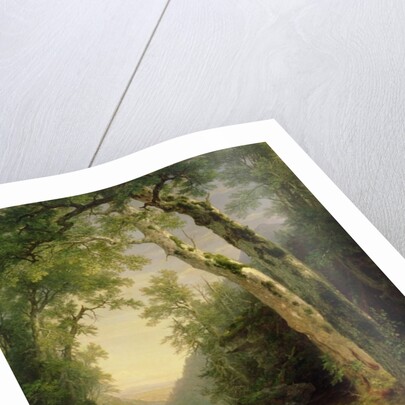 The Catskills, 1859 by Asher Brown Durand