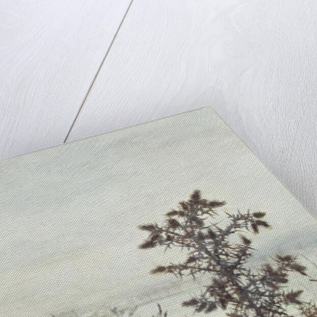 Thistles and Weeds, 1864 by Leon Bonvin