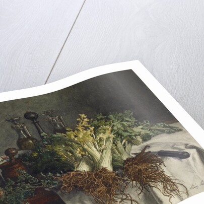 Still Life on Kitchen Table with Celery, Parsley, Bowl and Cruets, 1865 by Leon Bonvin