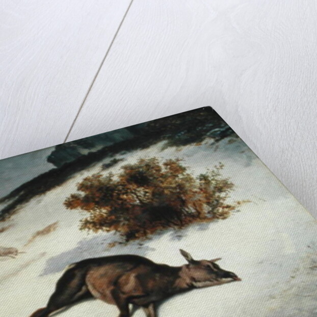 Hind Forced Down in the Snow, 1866 by Gustave Courbet