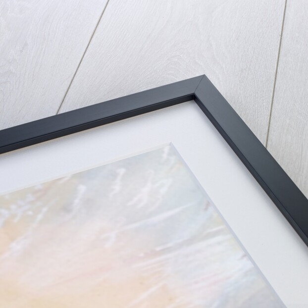 Shoshone woman catching a horse, 1837 by Alfred Jacob Miller