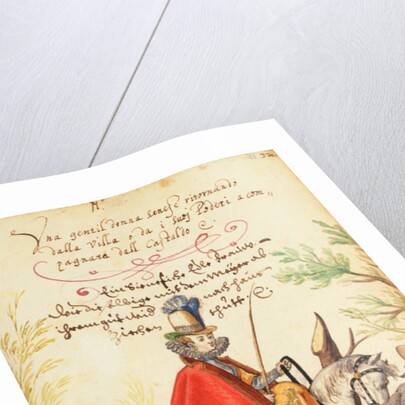 MS W.477 fol.31 Illustration from Kippell's 'Costume Book', c.1588 by Niclauss Kippell