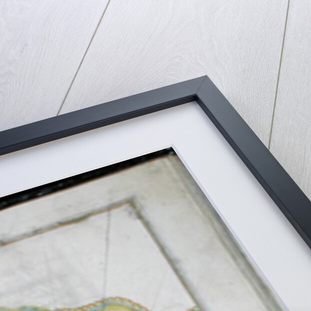 MS W.658 fol.304v Map of the Nile from the Kitab-I Bahriye by Piri Reis