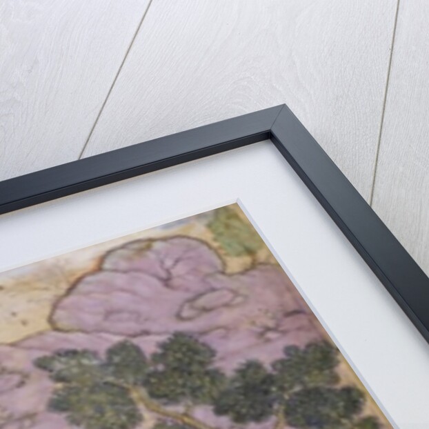 Illustration from 'Anvār-i Suhaylī, a collection of fables by Ḥusayn ibn ʿAlī', by Khashifi by Indian School