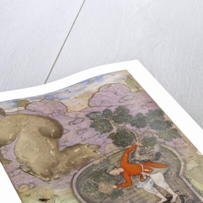 Illustration from 'Anvār-i Suhaylī, a collection of fables by Ḥusayn ibn ʿAlī', by Khashifi by Indian School