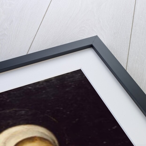 Madonna and Child, 1510-15 by Giovanni Agostino da Lodi