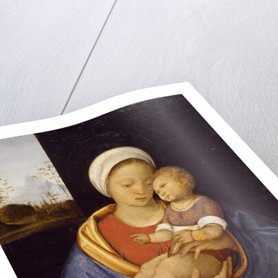 Madonna and Child, 1510-15 by Giovanni Agostino da Lodi