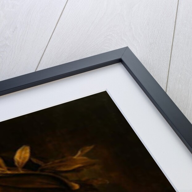 Portrait of the Poet Homer, 1639 by Flemish School