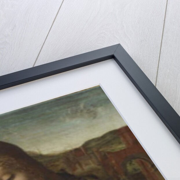 Madonna and Child with Cat, 1485-95 by Master of the Pala Sforzesca