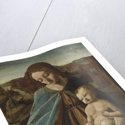 Madonna and Child with Cat, 1485-95 by Master of the Pala Sforzesca