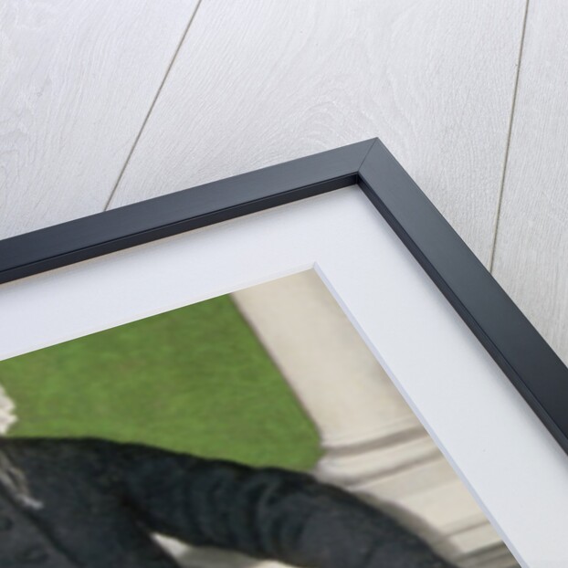 Massimiliano Stampa, Marquis of Soncino, 1557 by Sofonisba Anguissola