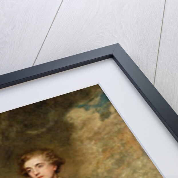 Portrait of Charles Stanhope, 3rd Earl of Harrington 1782 by Joshua Reynolds