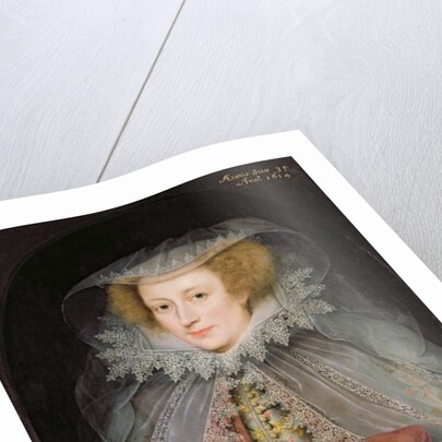 Catherine Killigrew, Lady Jermyn, 1614 by Marcus Gheeraerts