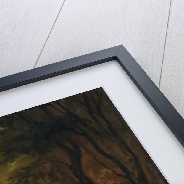 A Zebra, 1763 by George Stubbs