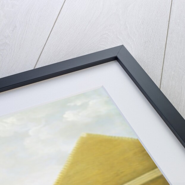 Turf, c.1765 by George Stubbs