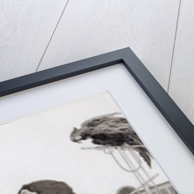 The Lady at the Dressing Table by Aubrey Beardsley