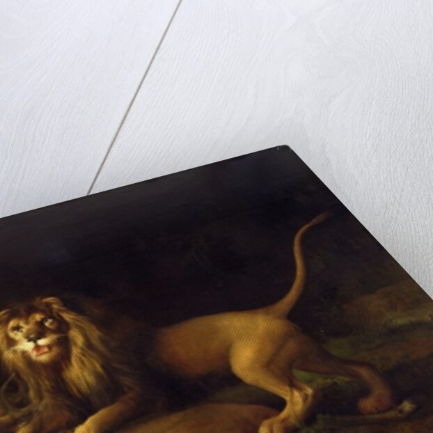 A Lion Attacking a Stag, c.1765 by George Stubbs