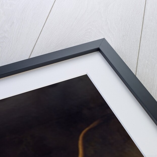 A Lion Attacking a Stag, c.1765 by George Stubbs