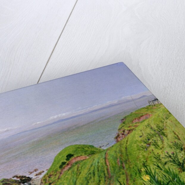 A View of Ailsa Craig and the Isle of Arran, 1860 by William Bell Scott