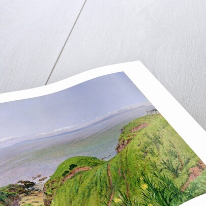 A View of Ailsa Craig and the Isle of Arran, 1860 by William Bell Scott