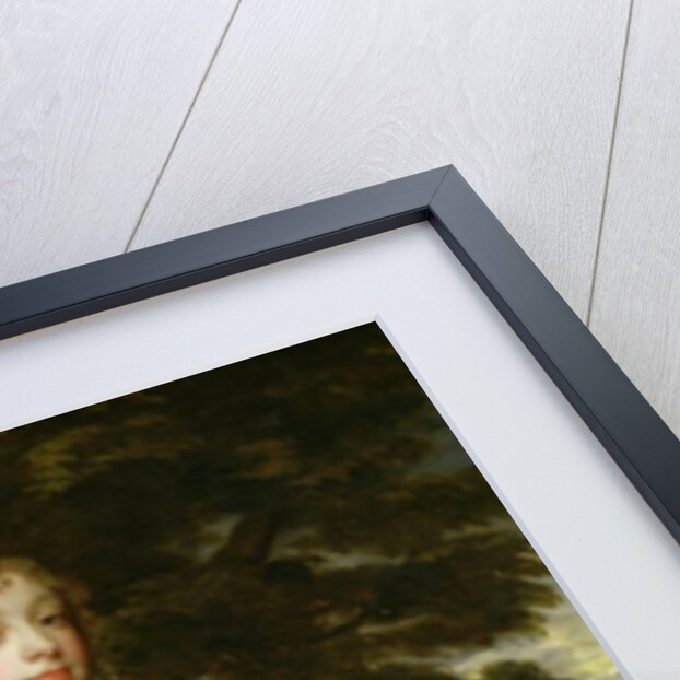 Diana Kirke, Later Countess of Oxford, c.1665-70 by Peter Lely