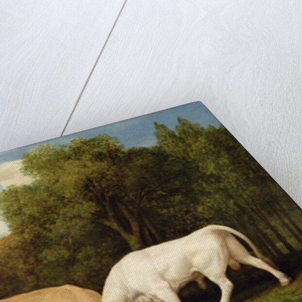 Bulls Fighting, 1786 by George Stubbs