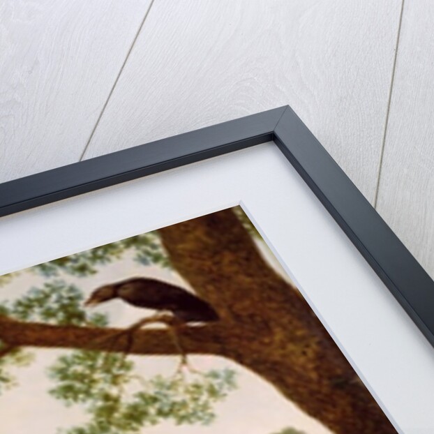 The Farmer's Wife and the Raven, 1786 by George Stubbs