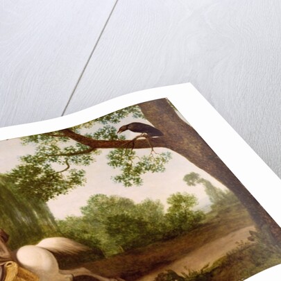 The Farmer's Wife and the Raven, 1786 by George Stubbs