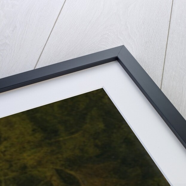 Freeman, the Earl of Clarendon's Gamekeeper, With a Dying Doe and Hound, 1800 by George Stubbs