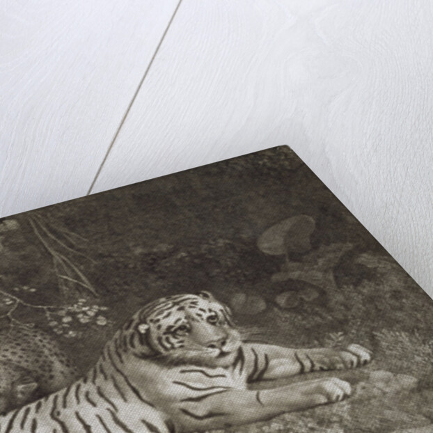 Two Tygers by George Stubbs