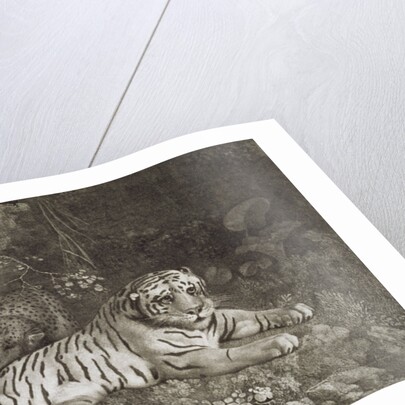 Two Tygers by George Stubbs