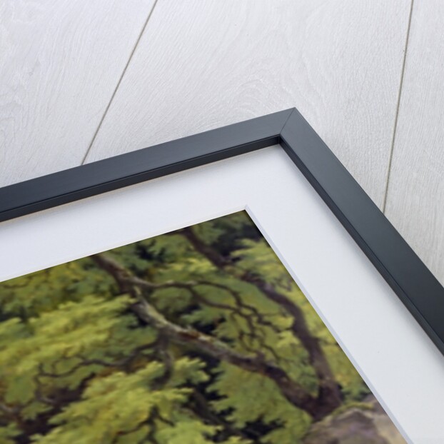 The Salmon Leap at Leixlip with Nymphs Bathing, 1783 by Francis Wheatley