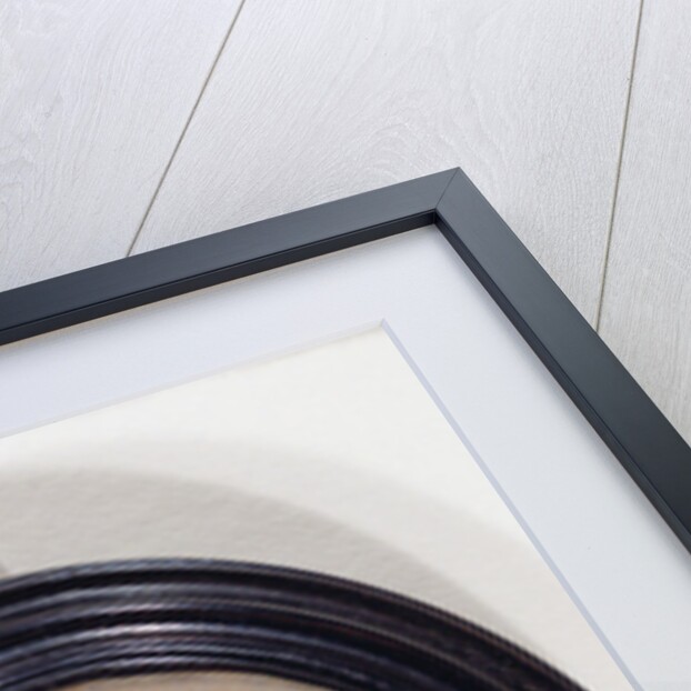 Robert Devereux, 2nd earl of Essex, K.G. by Isaac Oliver