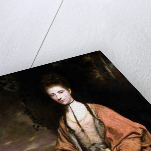 Anne Seymour Damer, 1773 by Joshua Reynolds