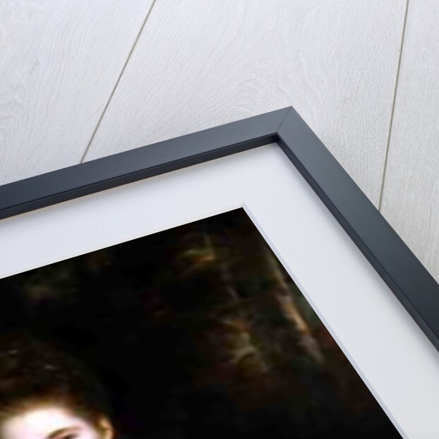 Anne Seymour Damer, 1773 by Joshua Reynolds