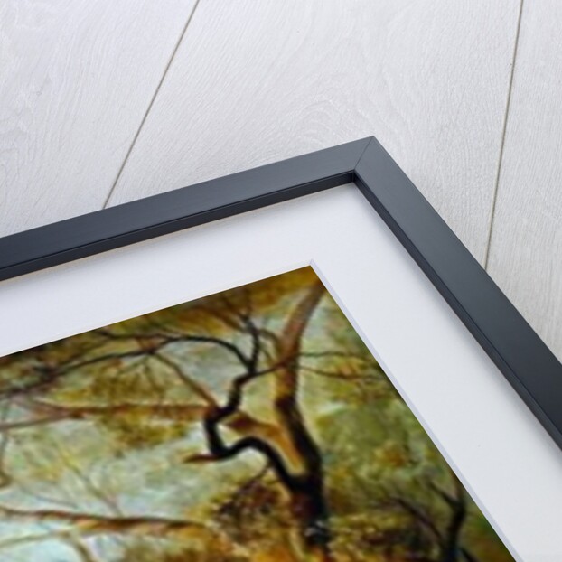 Corfu from Santa Decca, 1862 by Edward Lear