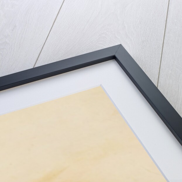 Tiger, Lateral View, Skin Removed by George Stubbs