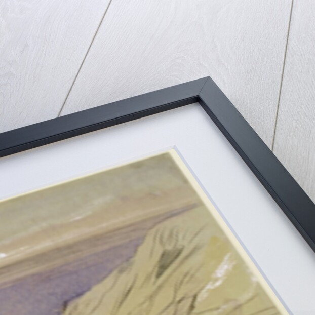 Wied Zurrik, Malta, 10 am, 11th March by Edward Lear