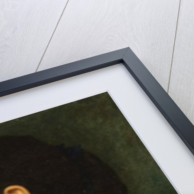 Portrait of Eliza Eastlake 1864 by Edward John Poynter