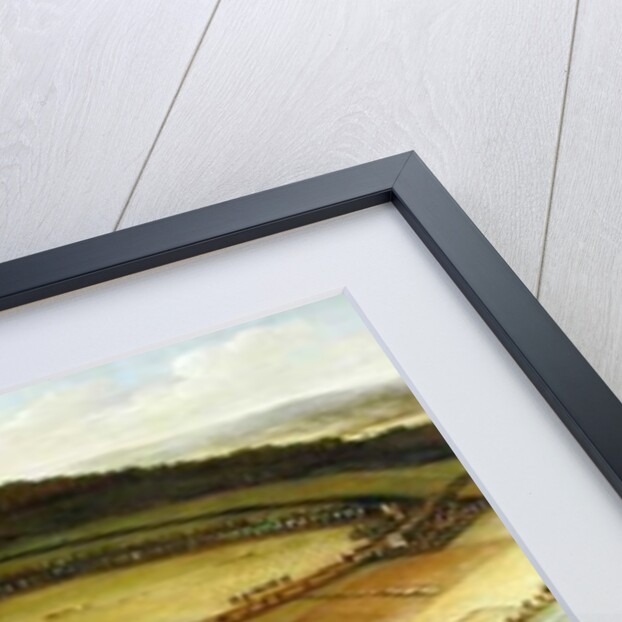 The North Prospect of Hampton Court, c.1699 by Leonard Knyff