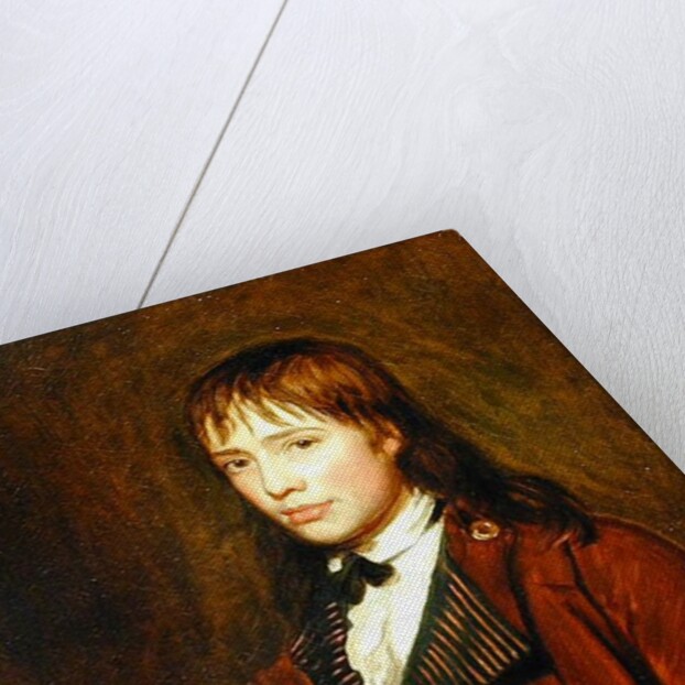 Thomas Abraham of Gurrington, Devon, 1784 by John Opie