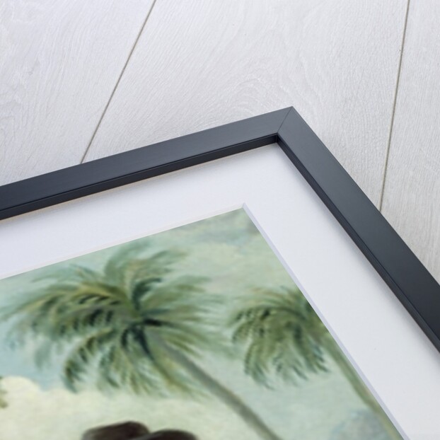 A Planter and his Wife, Attended by a Servant, c.1780 by Agostino Brunias