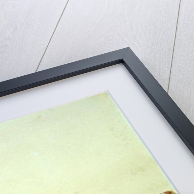 Mountainous Landscape with Lake and Stream by Anthony Vandyke Copley Fielding