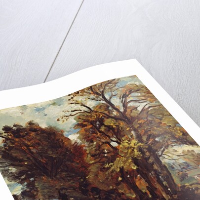 Sketch of a Lane at East Bergholt, c.1810 by John Constable