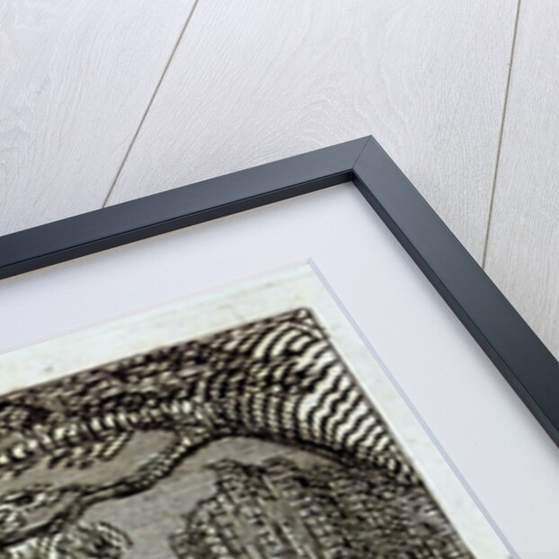 My Son! My Son! by William Blake